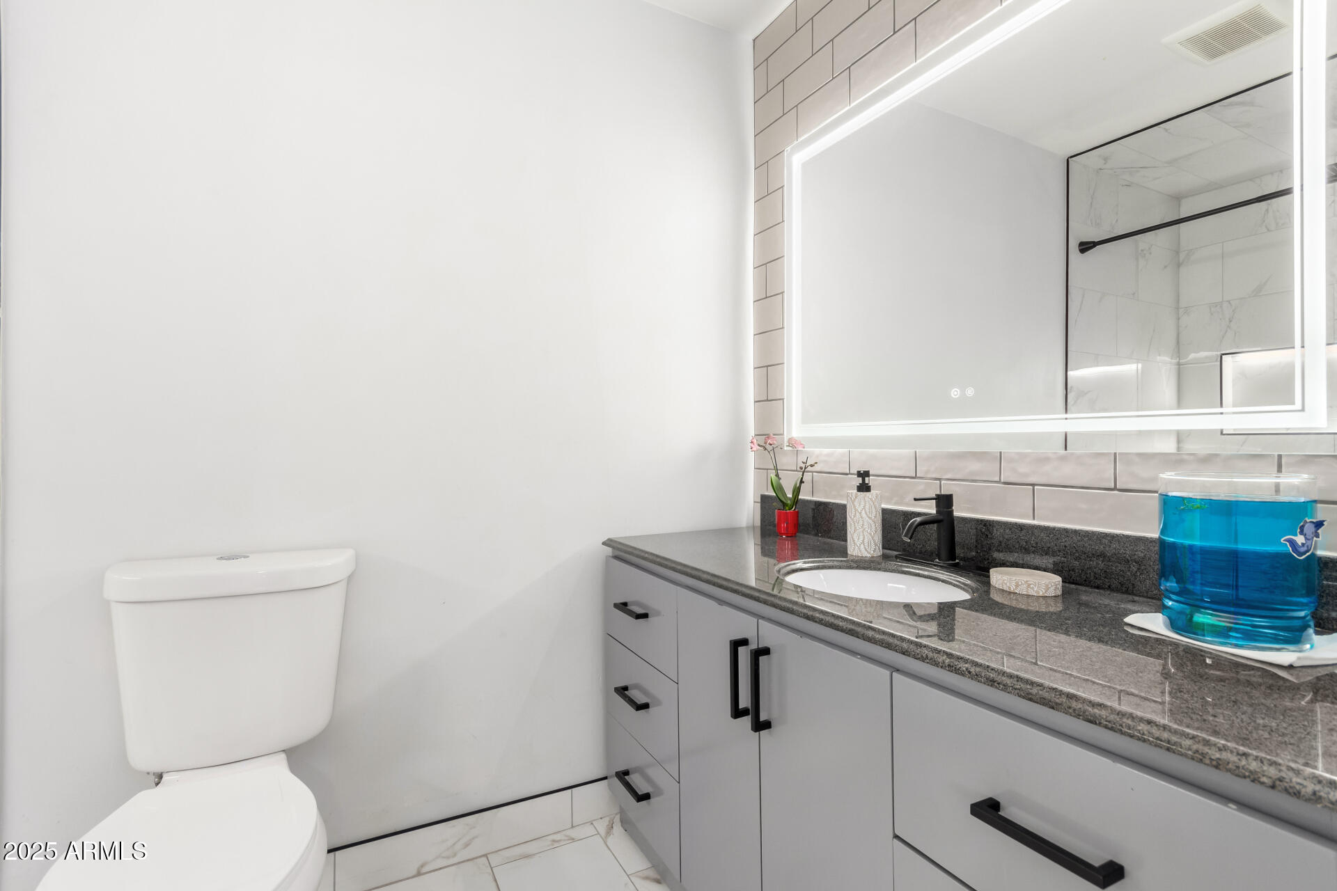 2037 East Riviera Drive Tempe, AZ 85282 - Photo 17 of 45 Bathroom