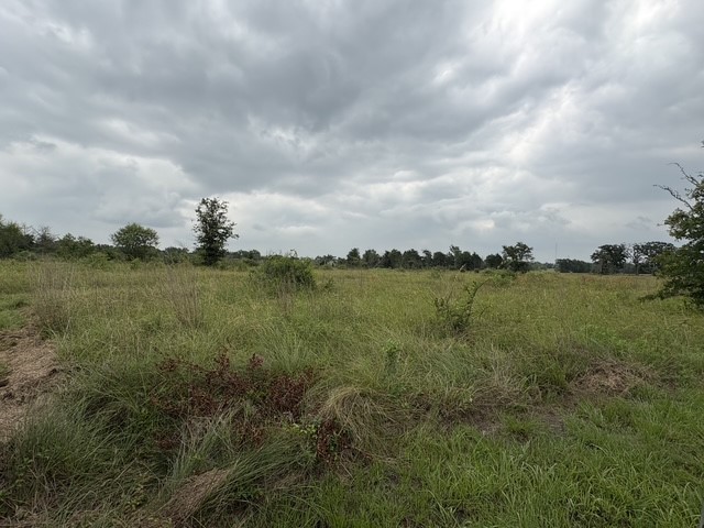 995 Diserens Road North Zulch, TX 77872 - Photo 2 of 23 Land