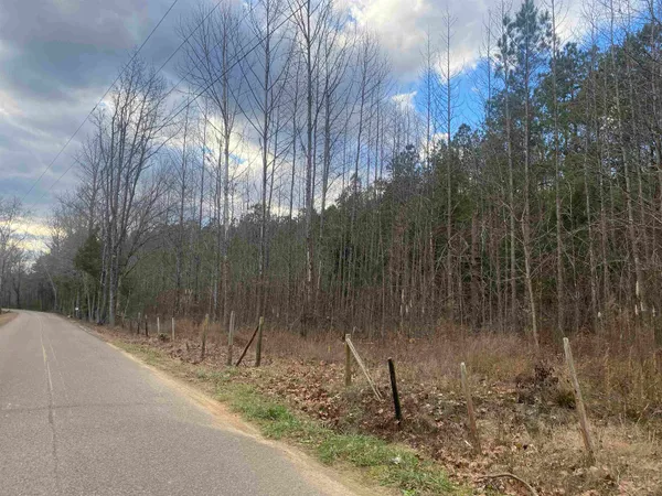 a view of a forest
