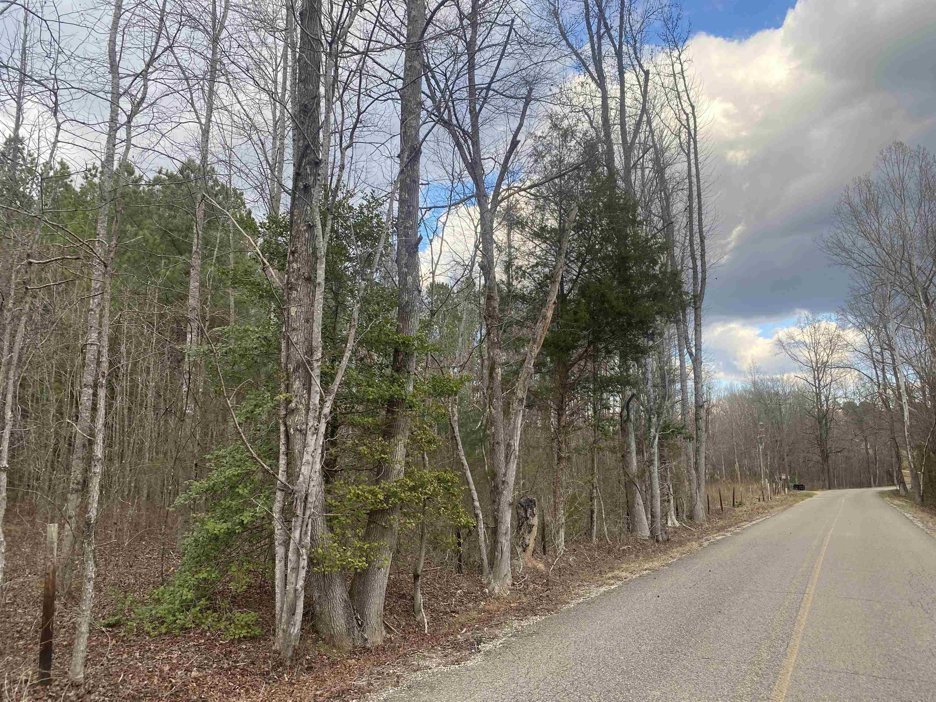 10 Rose Creek Road Selmer, TN 38375 - Photo 4 of 8