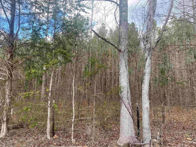 $55,000 | 10 Rose Creek Road, Selmer, TN 38375