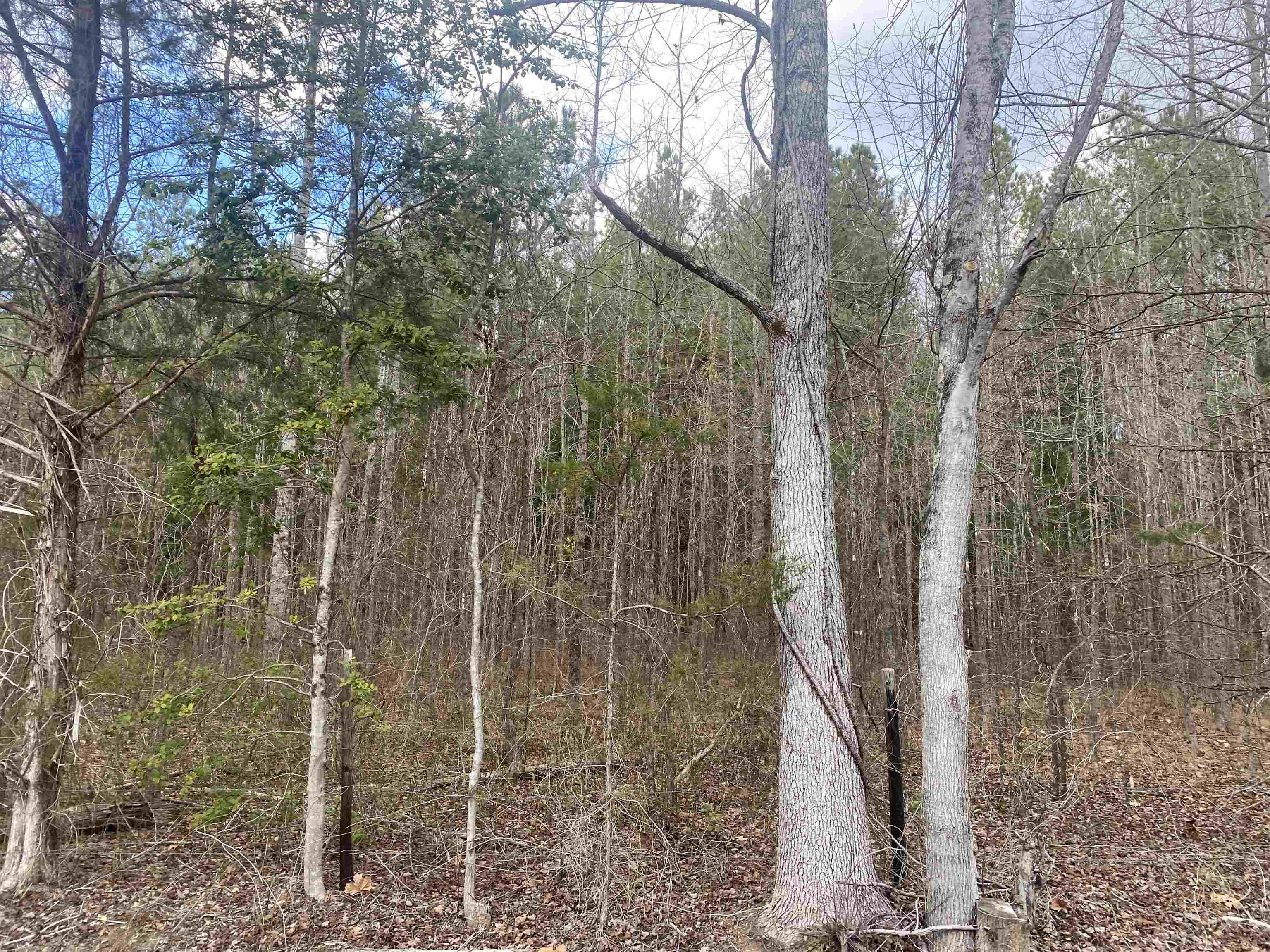 10 Rose Creek Road Selmer, TN 38375 - Photo 5 of 8