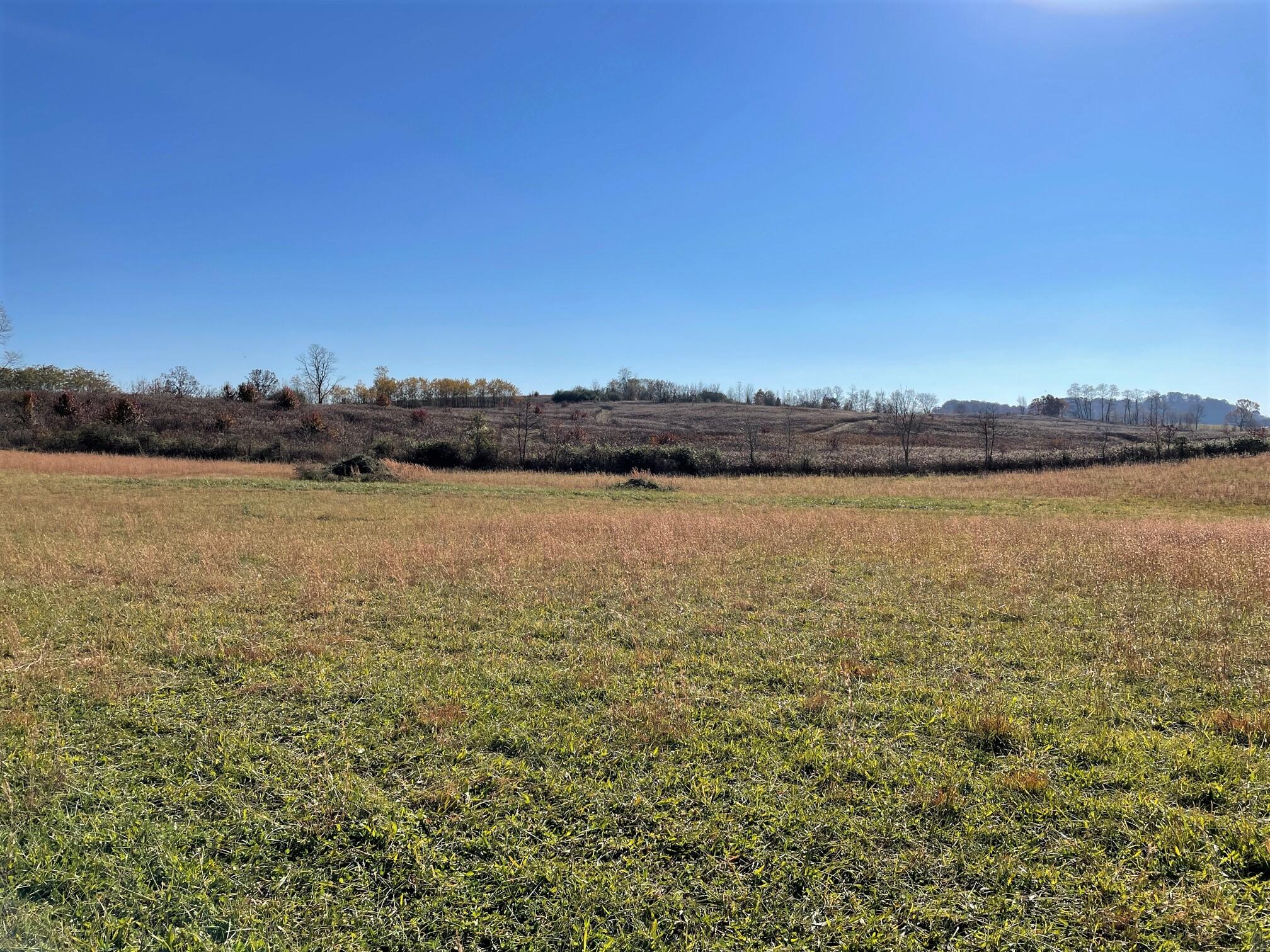 2888 Old Snapps Ferry Road, Unit 24 Chuckey, TN 37641 - Photo 3 of 11 2
