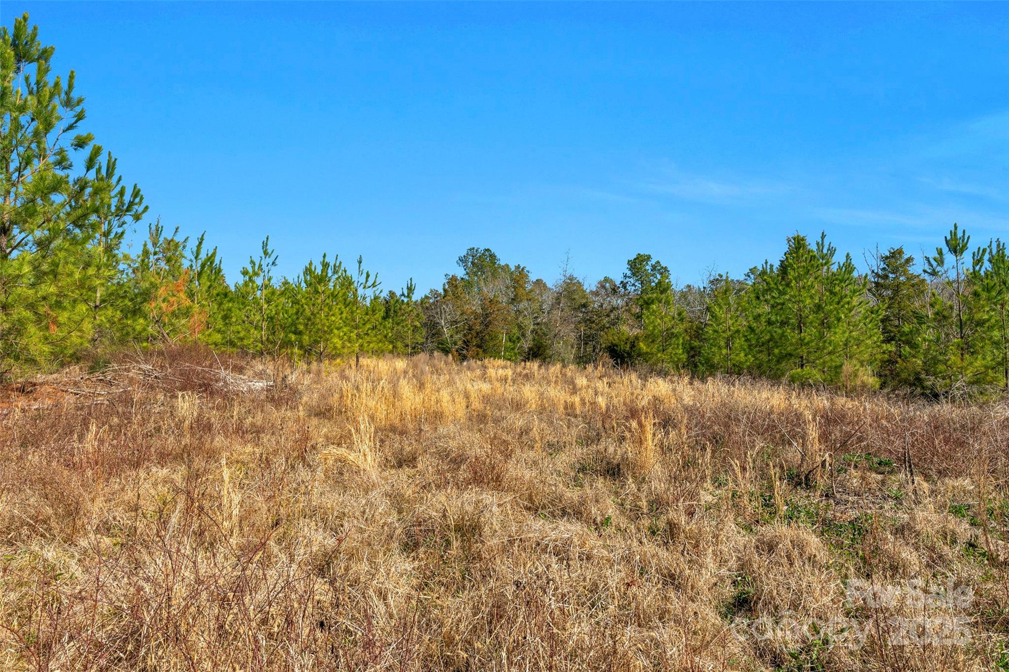 0 West End Road Chester, SC 29706 - Photo 20 of 38 a view of a yard