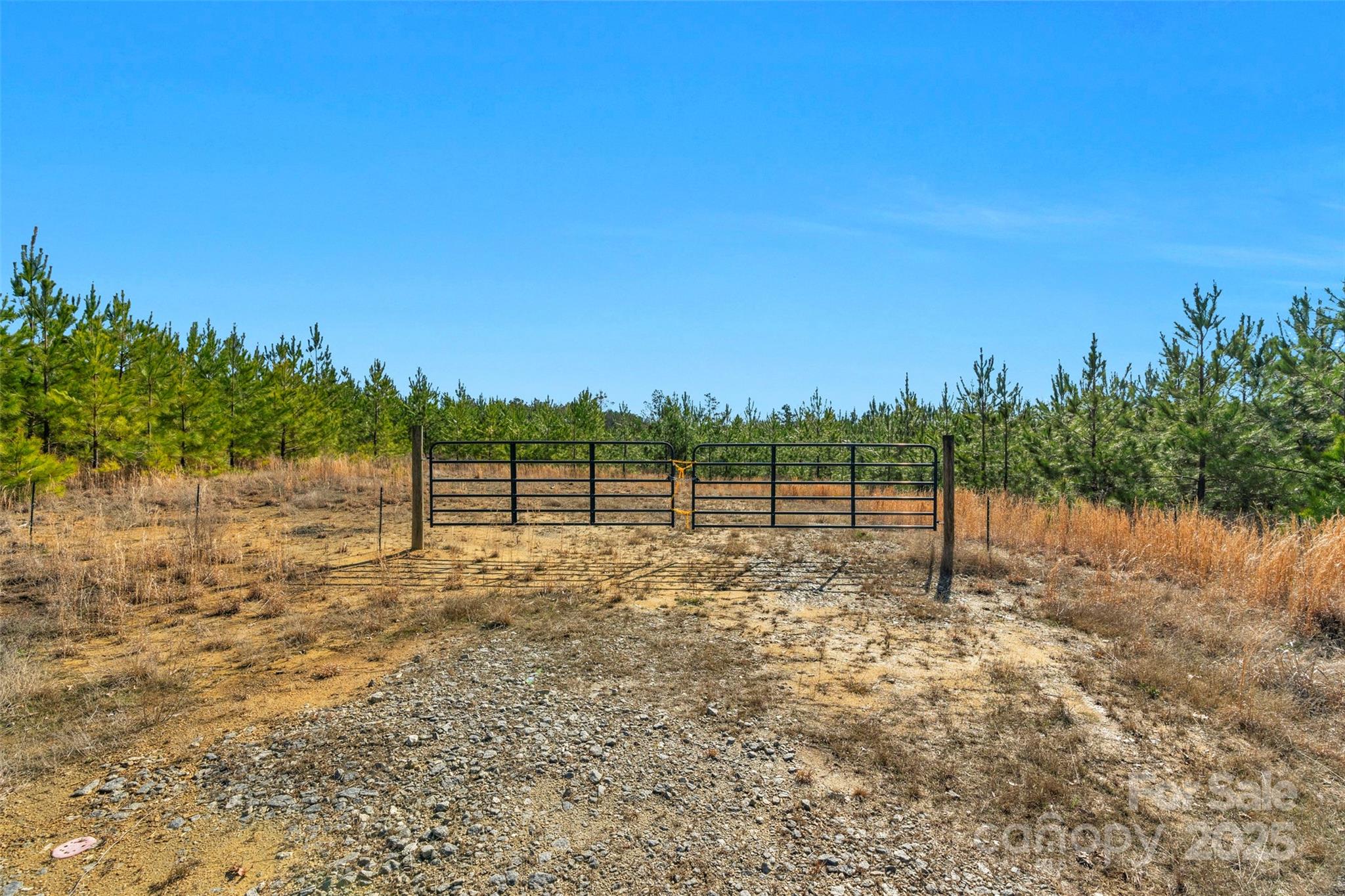 0 West End Road Chester, SC 29706 - Photo 5 of 38 a view of a yard with a tree