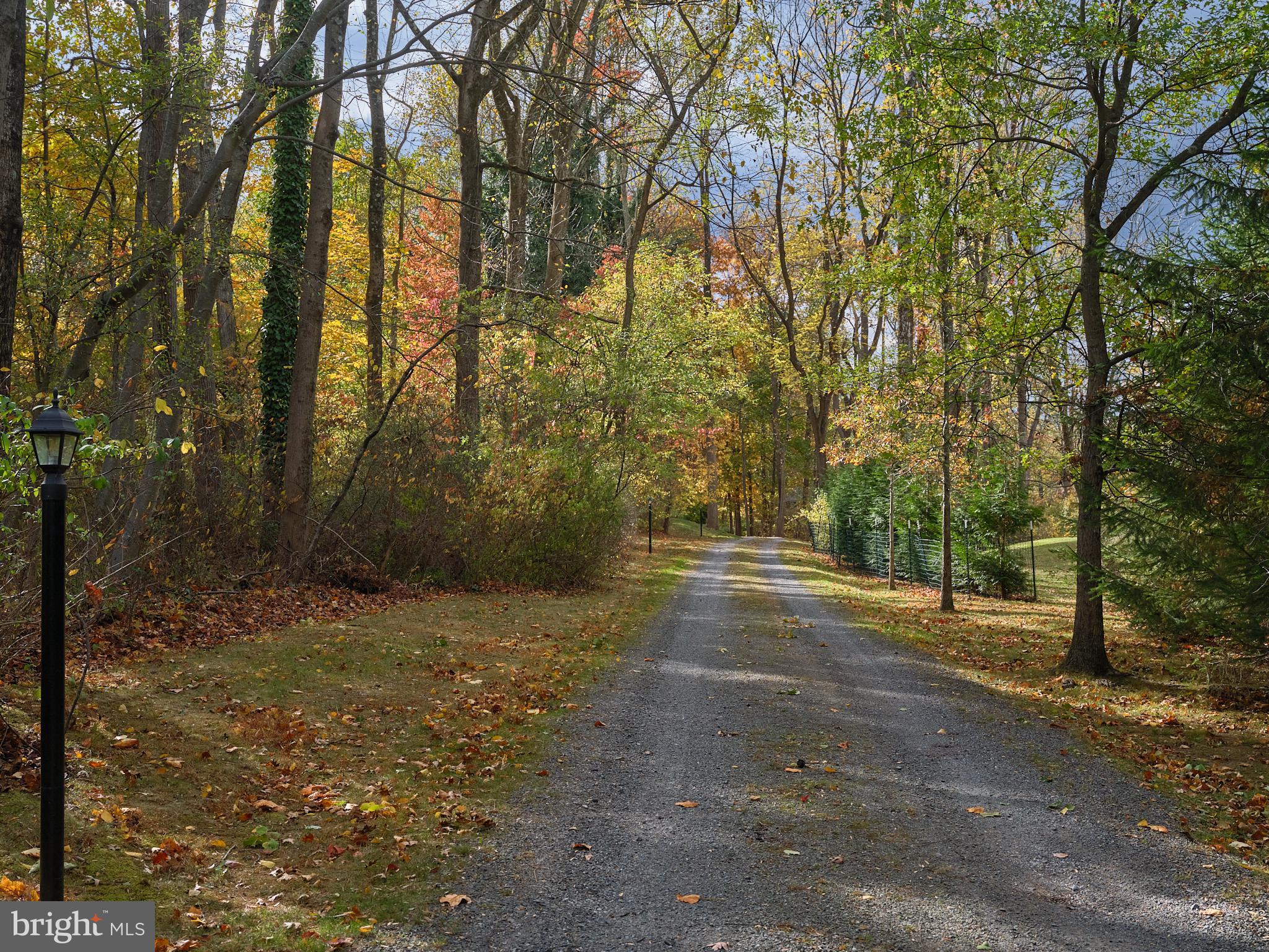 3515 Windy Bush Road New Hope, PA 18938 - Photo 3 of 41 Private Driveway