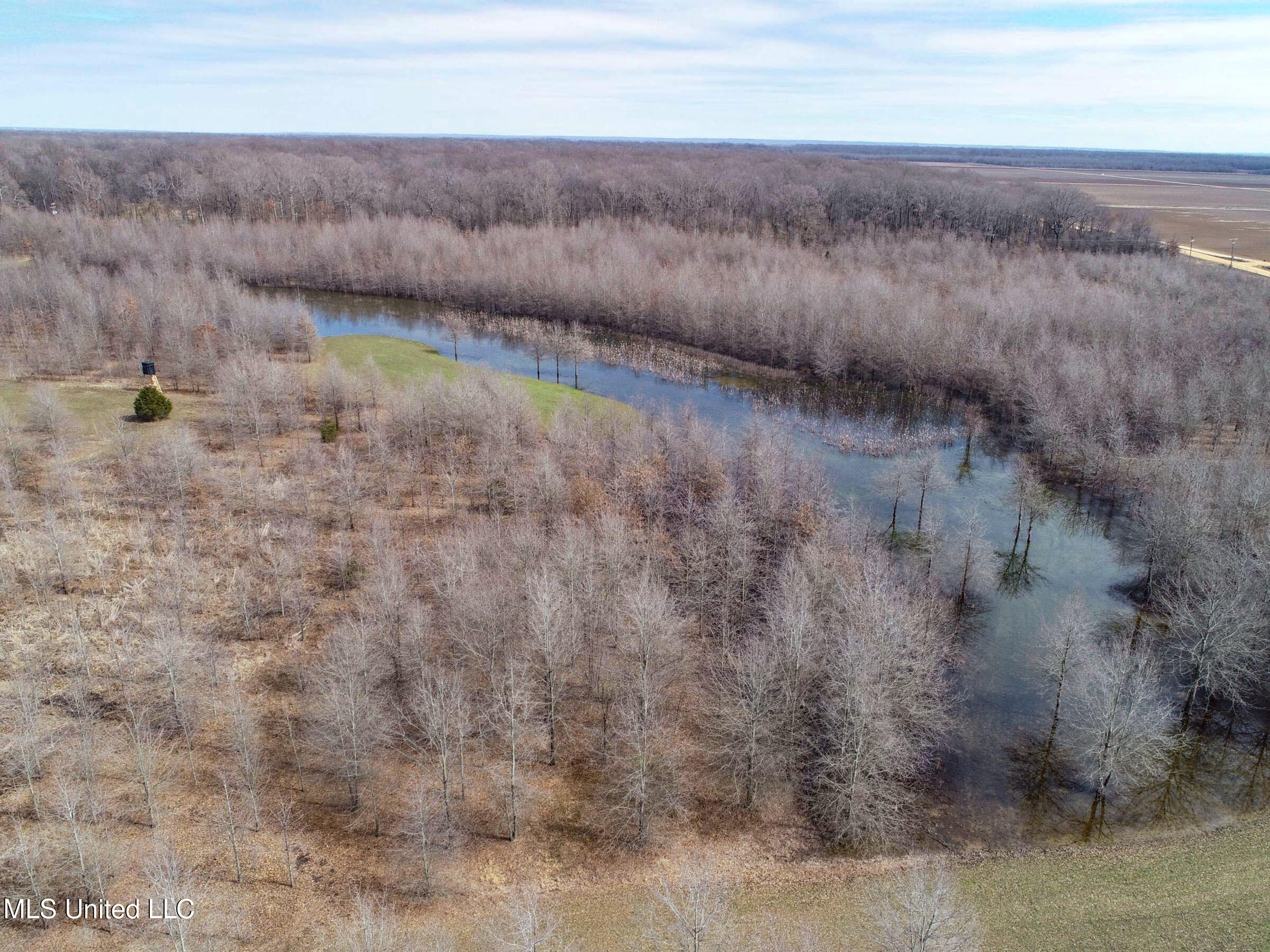 130 Pinion Road Lambert, MS 38643 - Photo 19 of 87 3okf10