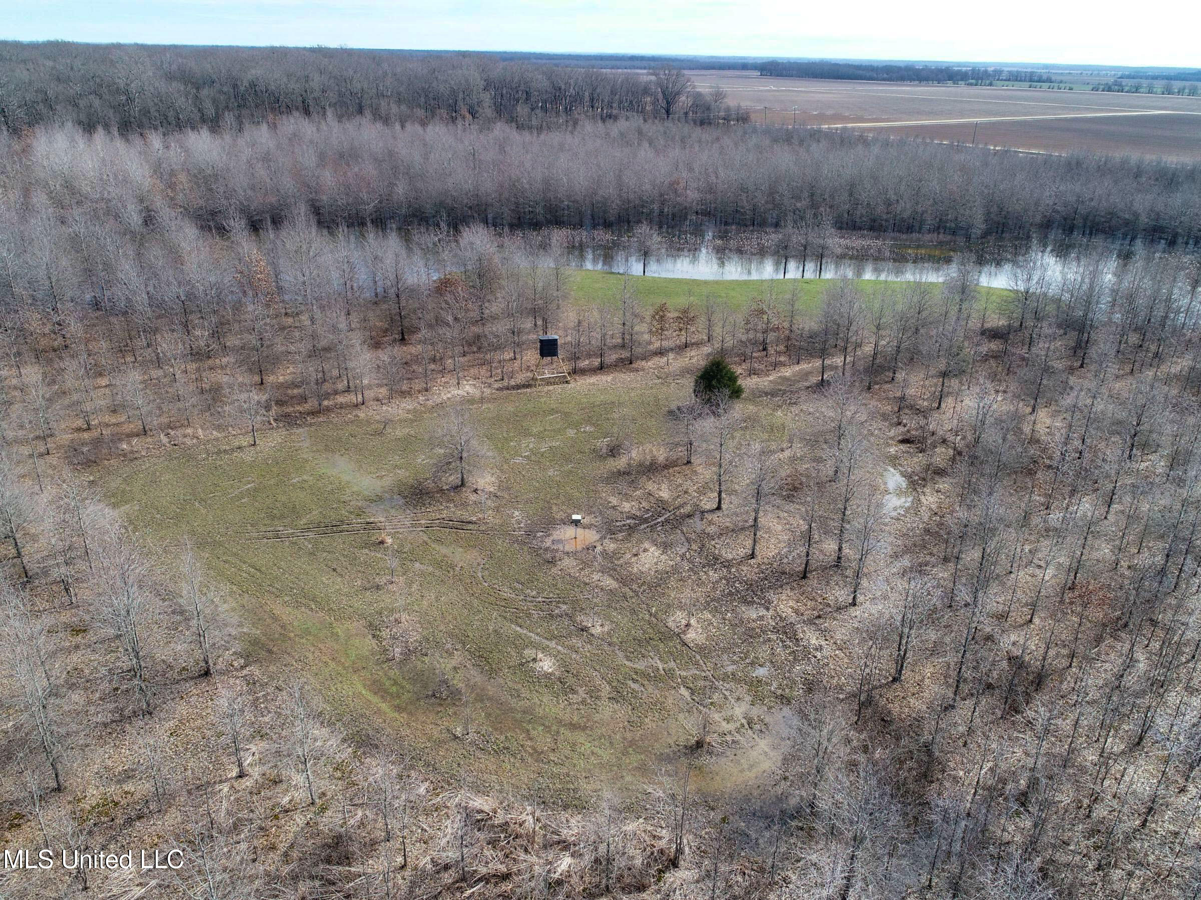 130 Pinion Road Lambert, MS 38643 - Photo 21 of 87 3okf12