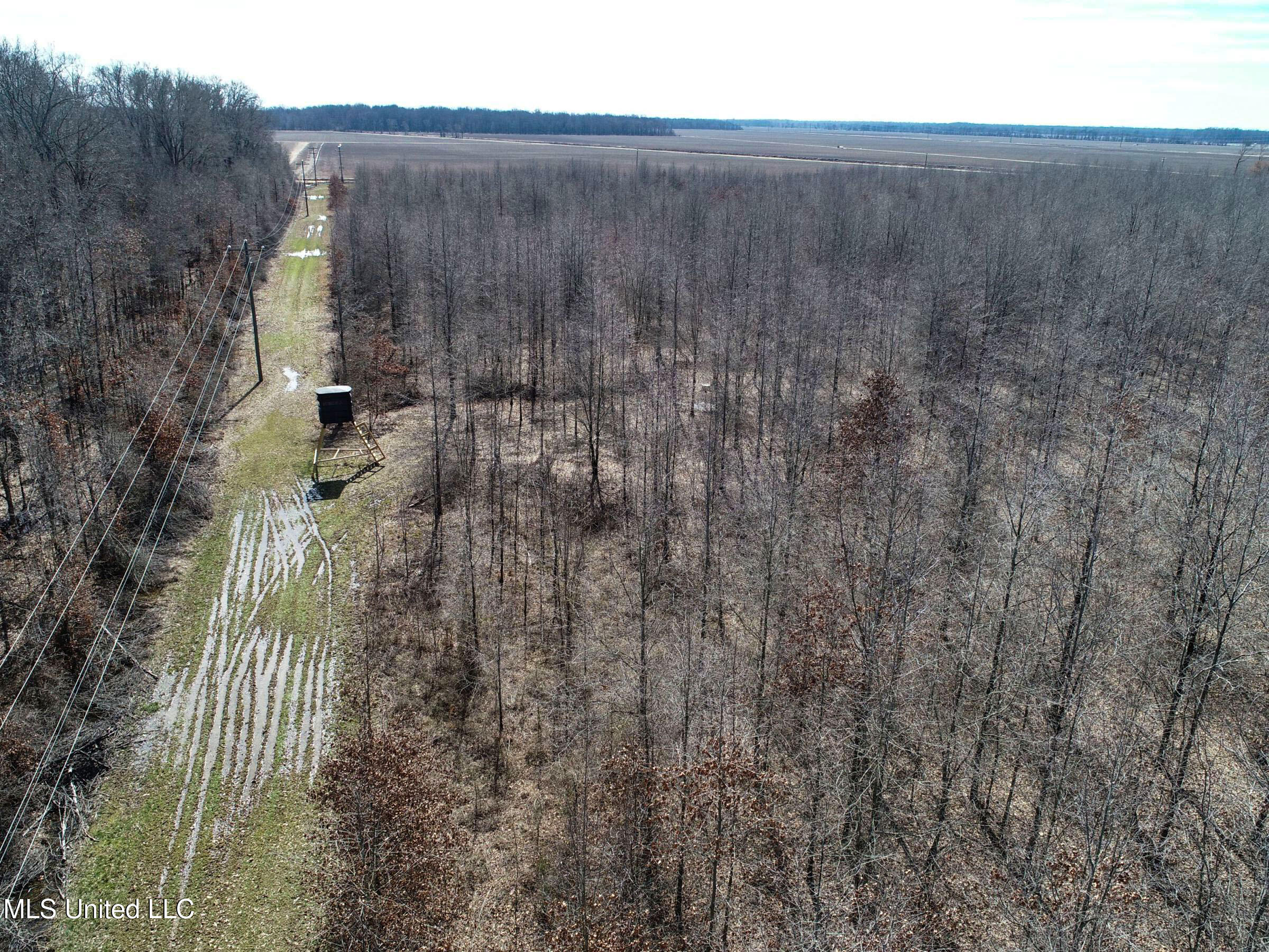 130 Pinion Road Lambert, MS 38643 - Photo 33 of 87 3okf24