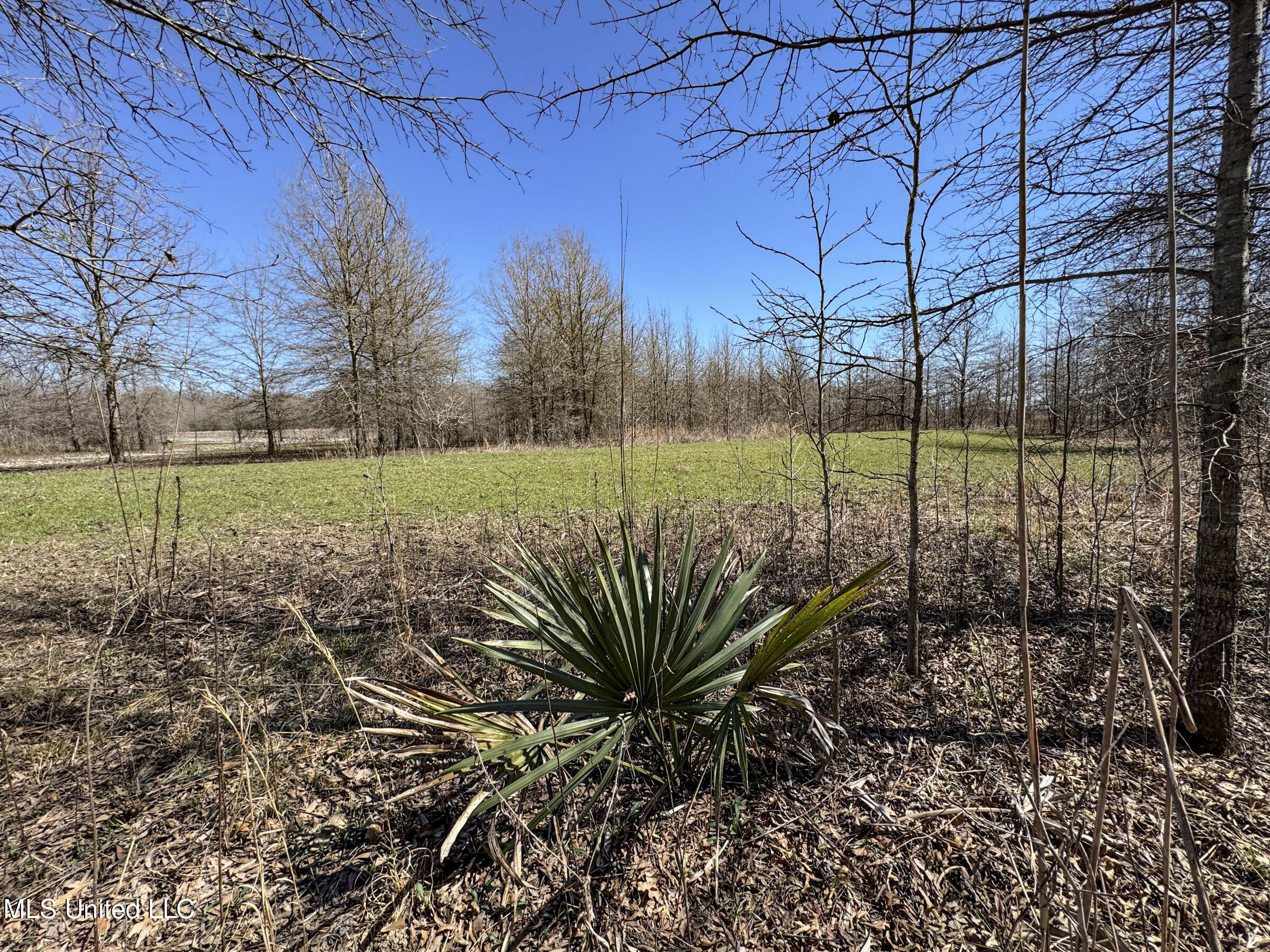 130 Pinion Road Lambert, MS 38643 - Photo 53 of 87 5okf10