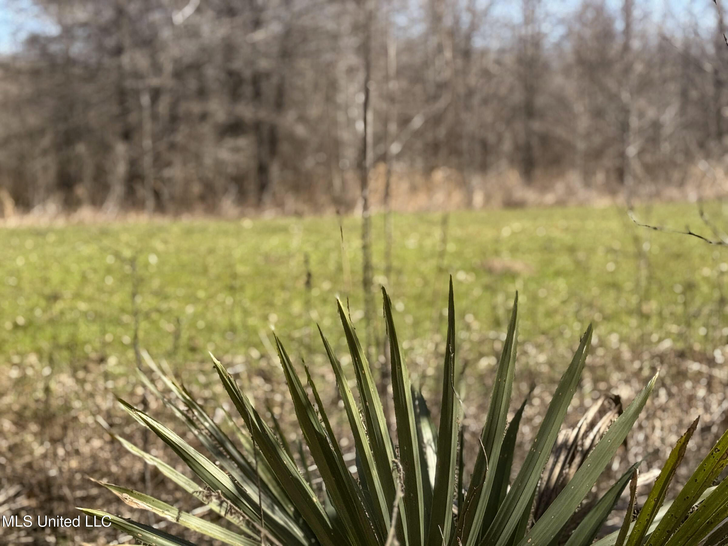 130 Pinion Road Lambert, MS 38643 - Photo 54 of 87 5okf11
