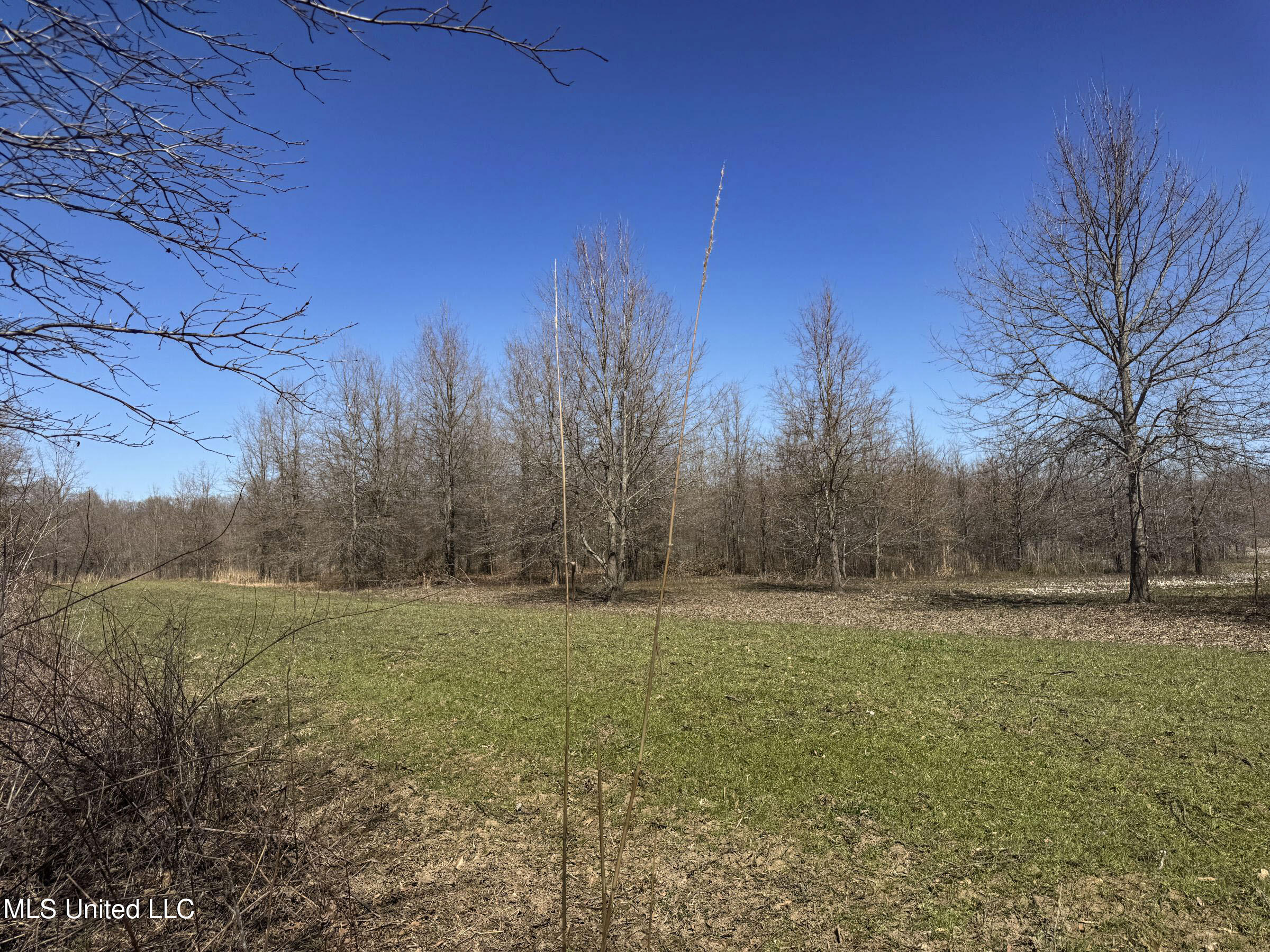 130 Pinion Road Lambert, MS 38643 - Photo 55 of 87 5okf13