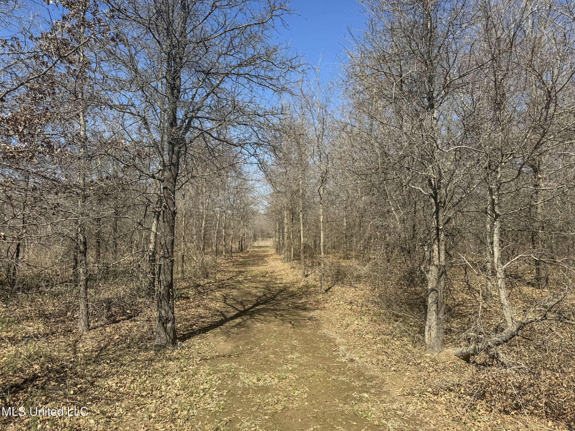 130 Pinion Road Lambert, MS 38643 - Photo 59 of 87 5okf23
