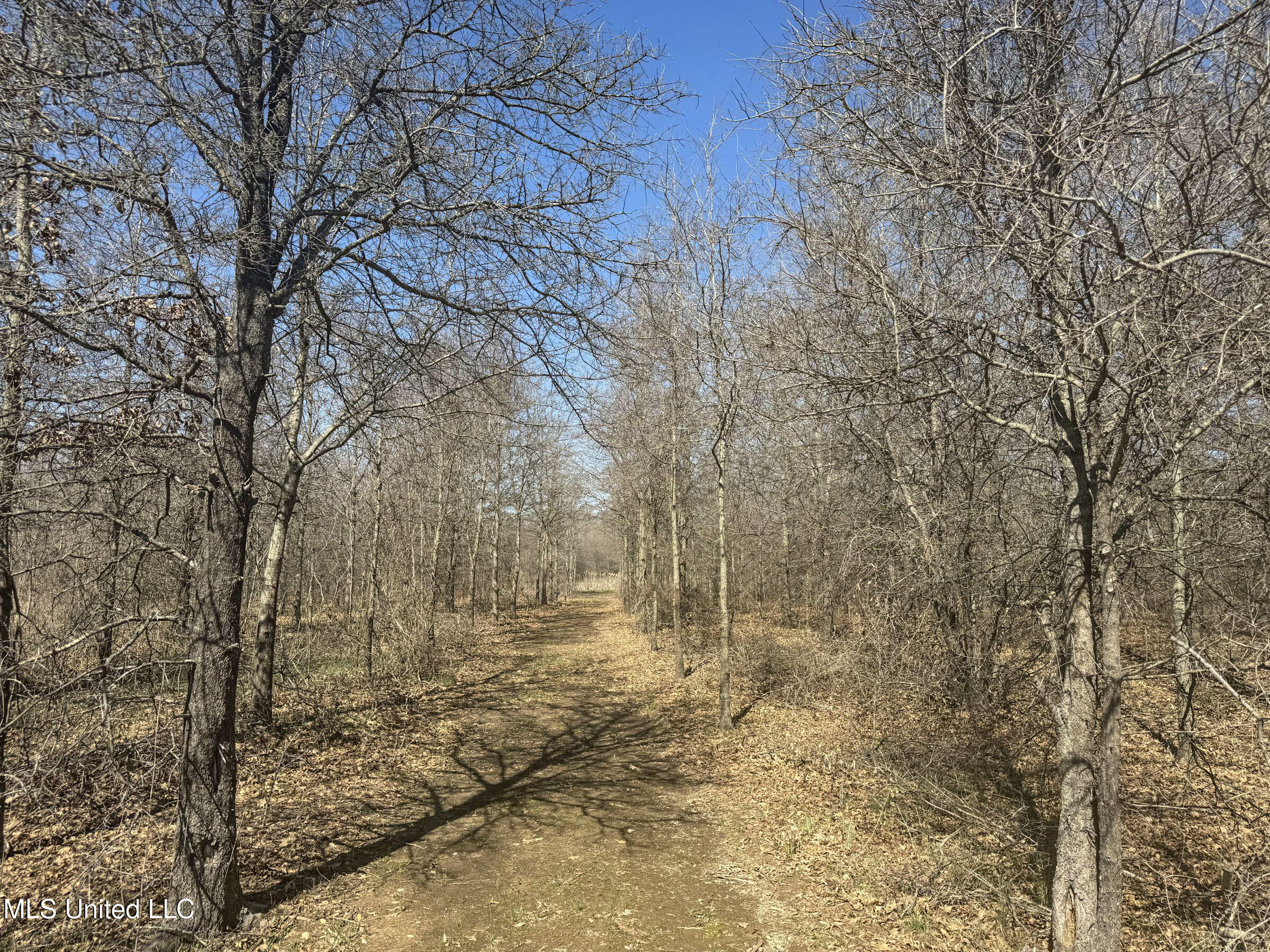 130 Pinion Road Lambert, MS 38643 - Photo 60 of 87 5okf24