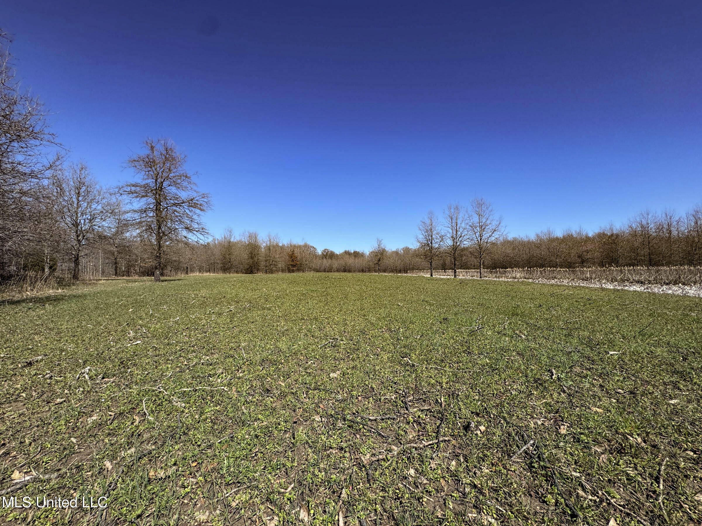 130 Pinion Road Lambert, MS 38643 - Photo 64 of 87 5okf38