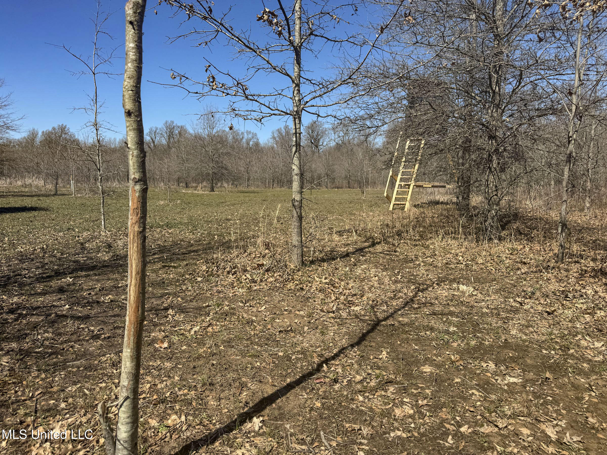 130 Pinion Road Lambert, MS 38643 - Photo 65 of 87 5okf40