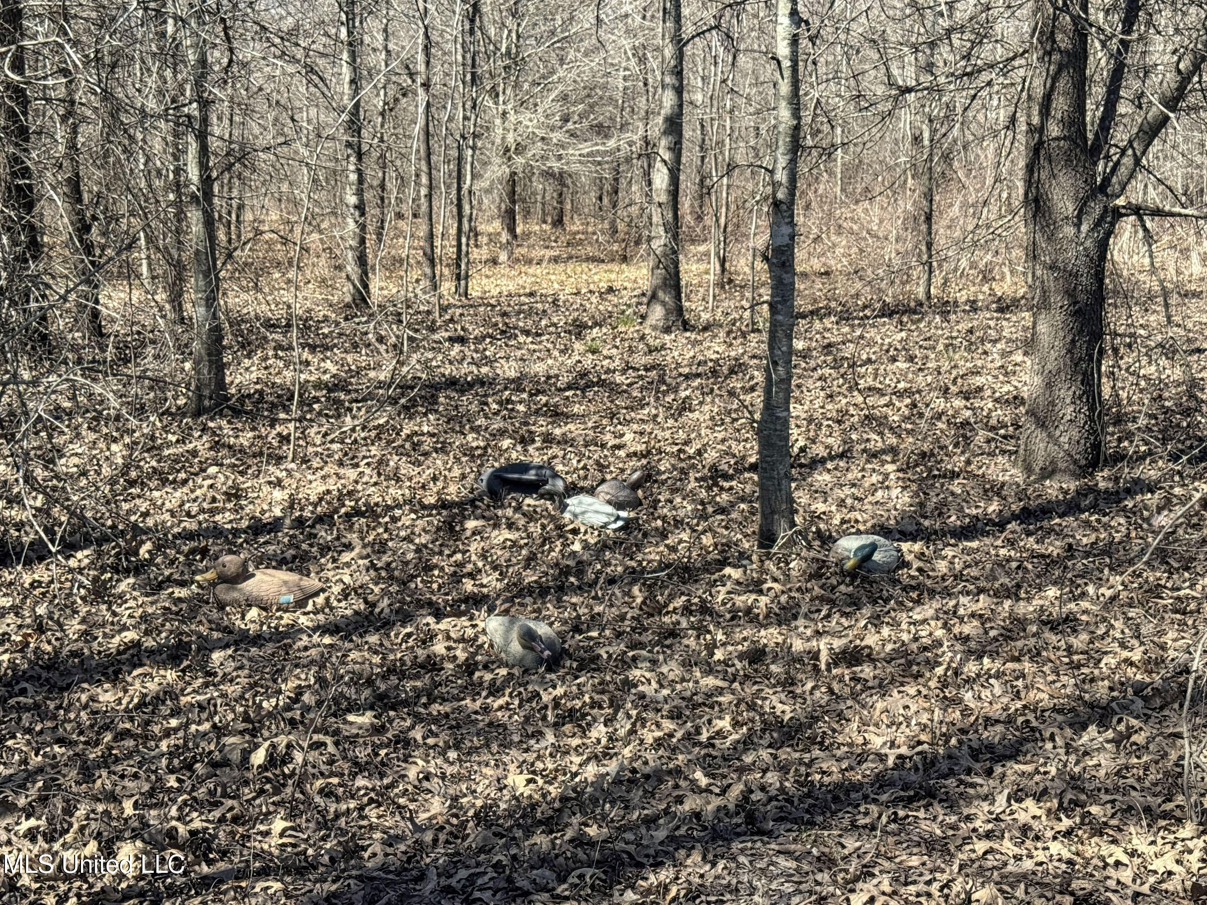 130 Pinion Road Lambert, MS 38643 - Photo 74 of 87 5okf49