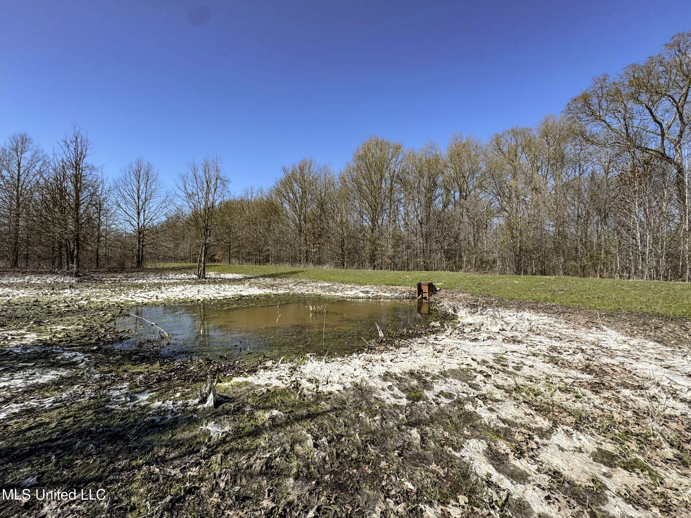 130 Pinion Road Lambert, MS 38643 - Photo 76 of 87 5okf52