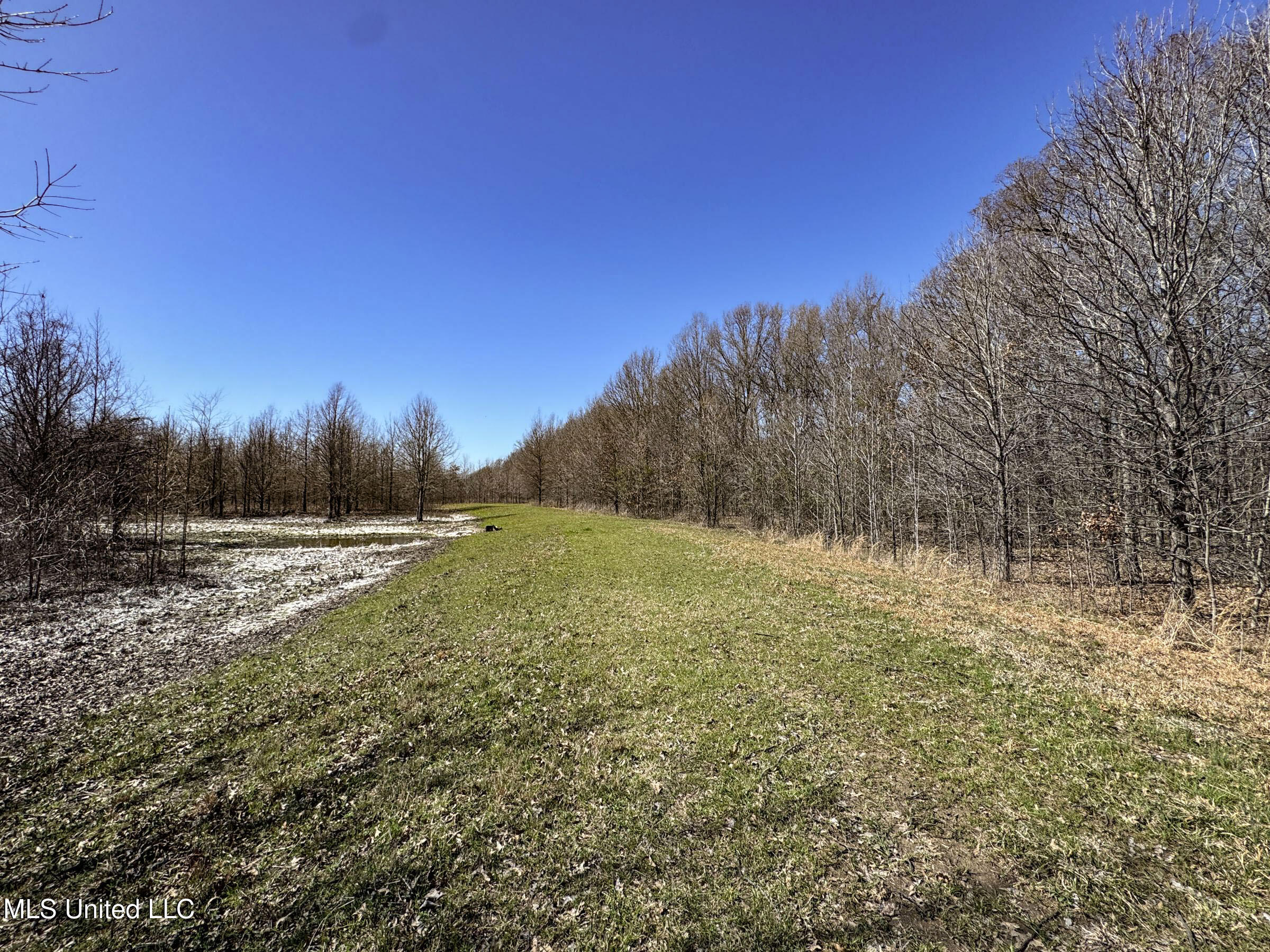 130 Pinion Road Lambert, MS 38643 - Photo 77 of 87 5okf53
