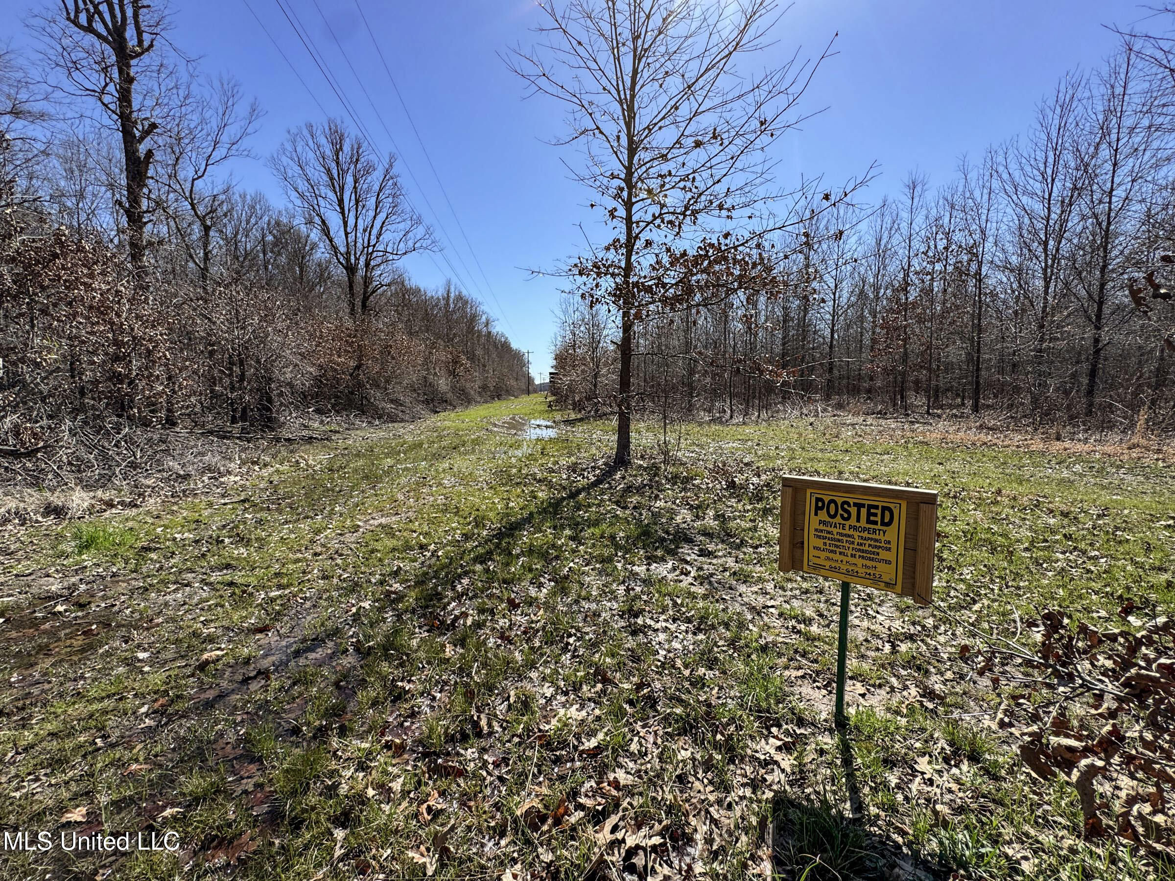 130 Pinion Road Lambert, MS 38643 - Photo 78 of 87 5okf54