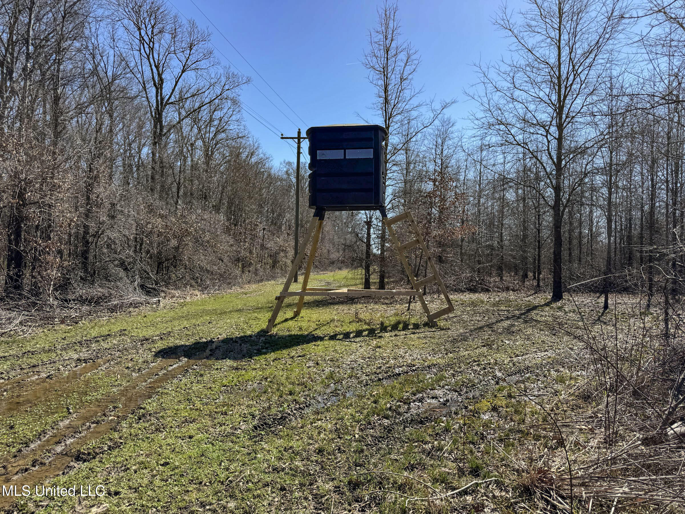 130 Pinion Road Lambert, MS 38643 - Photo 79 of 87 5okf56