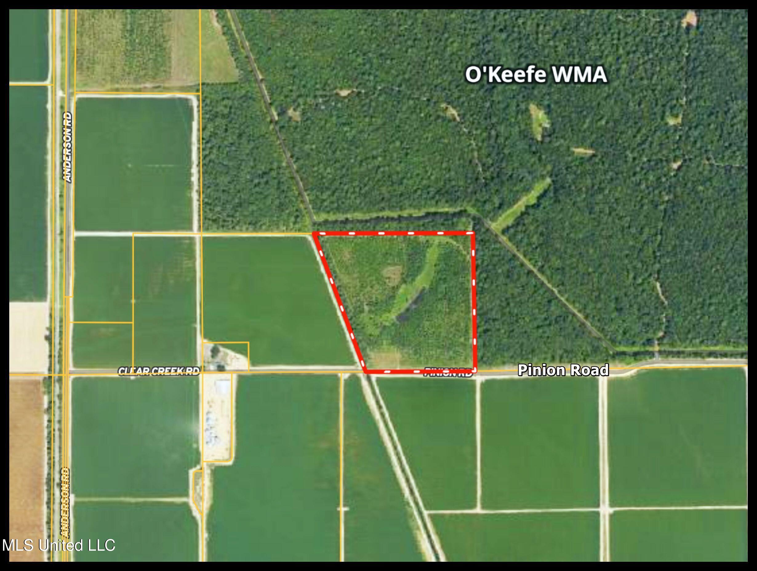 130 Pinion Road Lambert, MS 38643 - Photo 8 of 87 2okf14