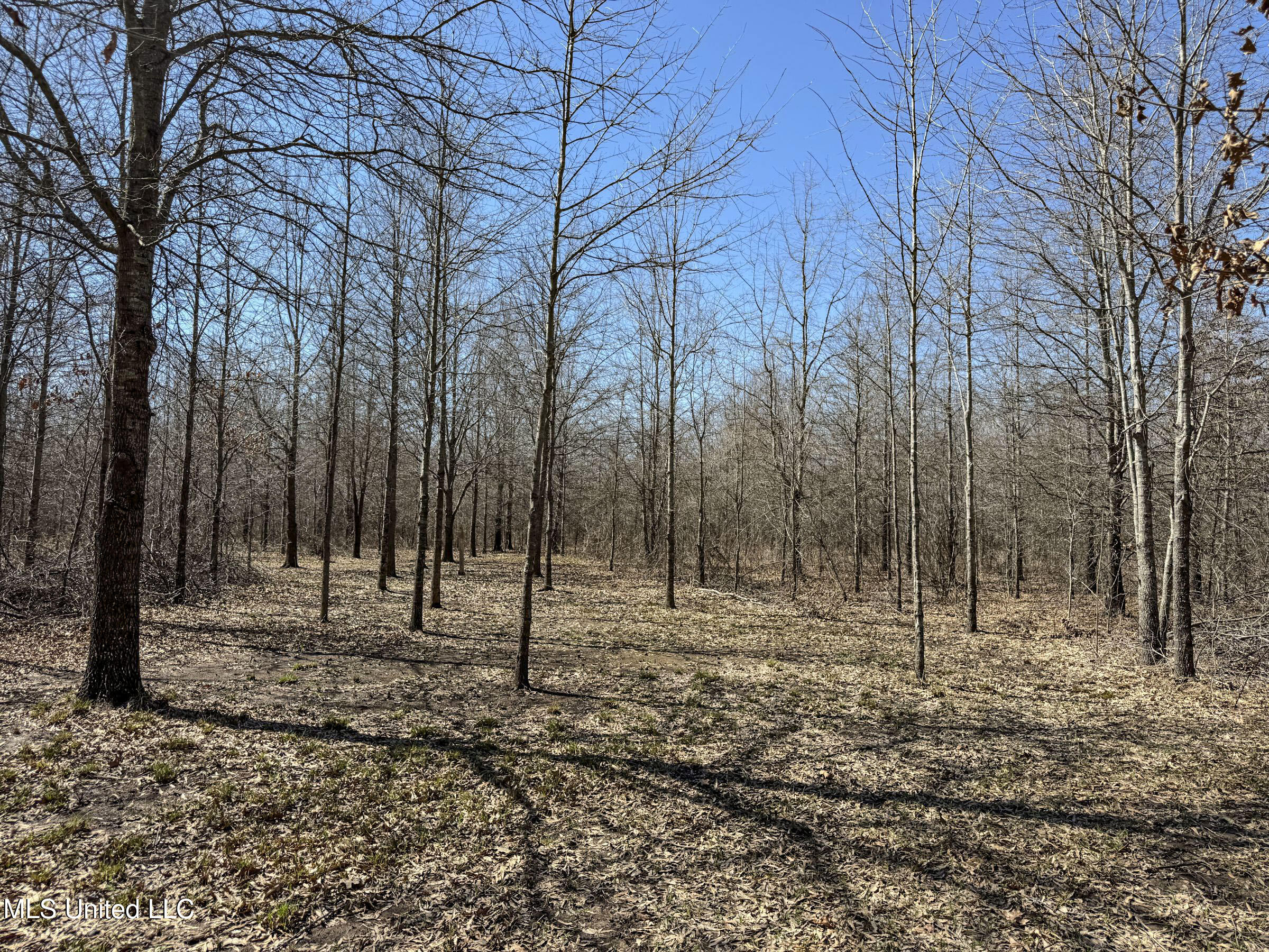130 Pinion Road Lambert, MS 38643 - Photo 86 of 87 5okf66
