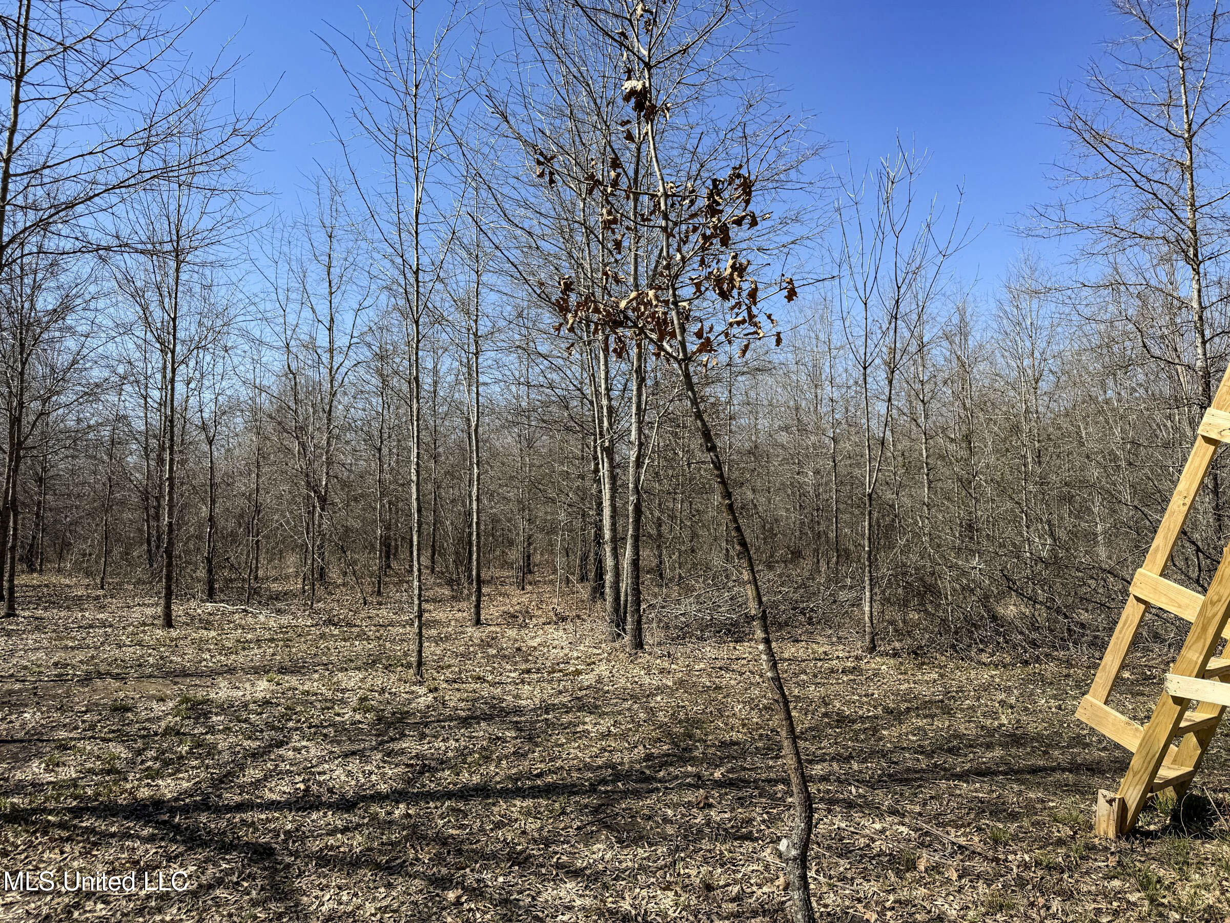 130 Pinion Road Lambert, MS 38643 - Photo 87 of 87 5okf67