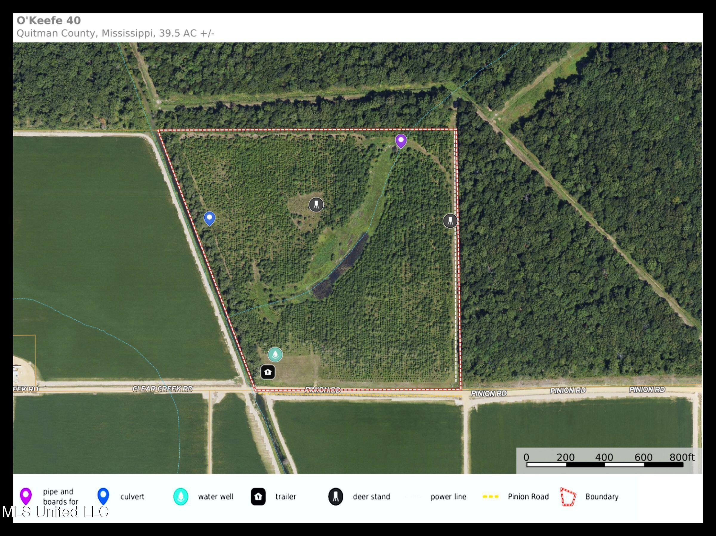 130 Pinion Road Lambert, MS 38643 - Photo 9 of 87 2okf16