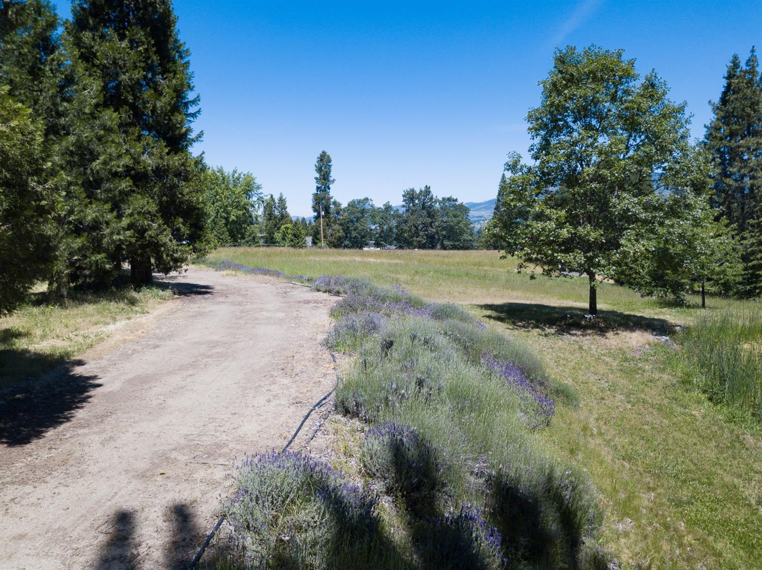 517 Morey Road Talent, OR 97540 - Photo 12 of 15 Additional Photo