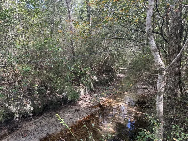 $179,900 | 40-ac Lacey Lane, Crestview, FL 32536