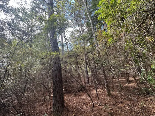 $179,900 | 40-ac Lacey Lane, Crestview, FL 32536