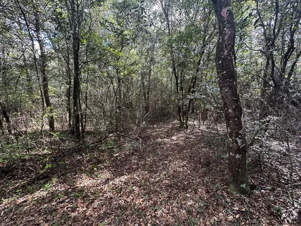$179,900 | 40-ac Lacey Lane, Crestview, FL 32536