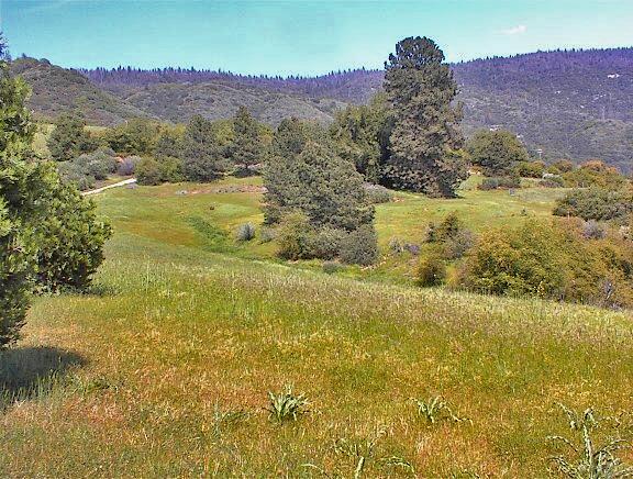45288 Millwood Road Dunlap, CA 93621 - Photo 22 of 24 Gallery Image 22