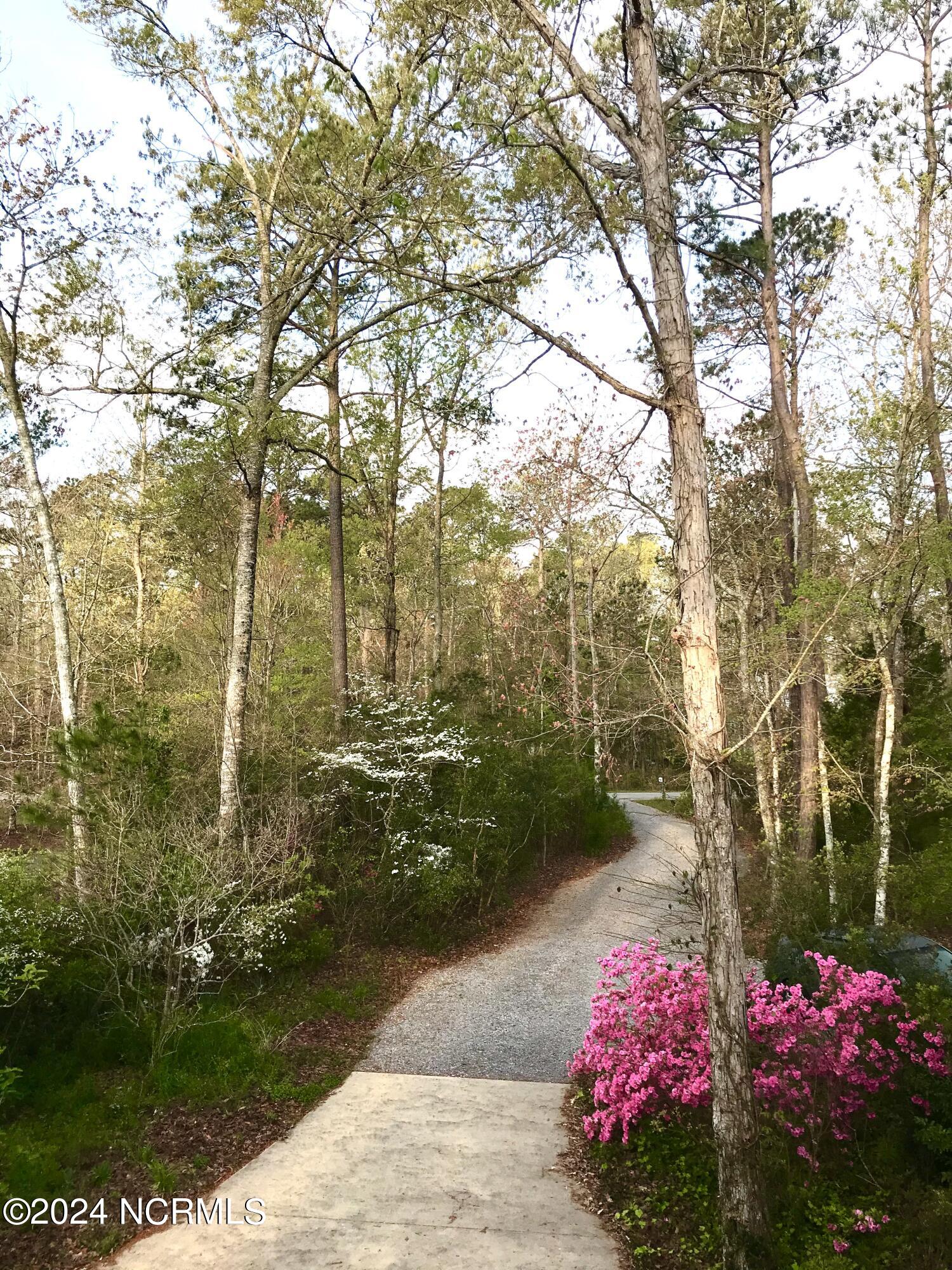 508 Audubon Oriental, NC 28571 - Photo 2 of 61 beautiful gardens