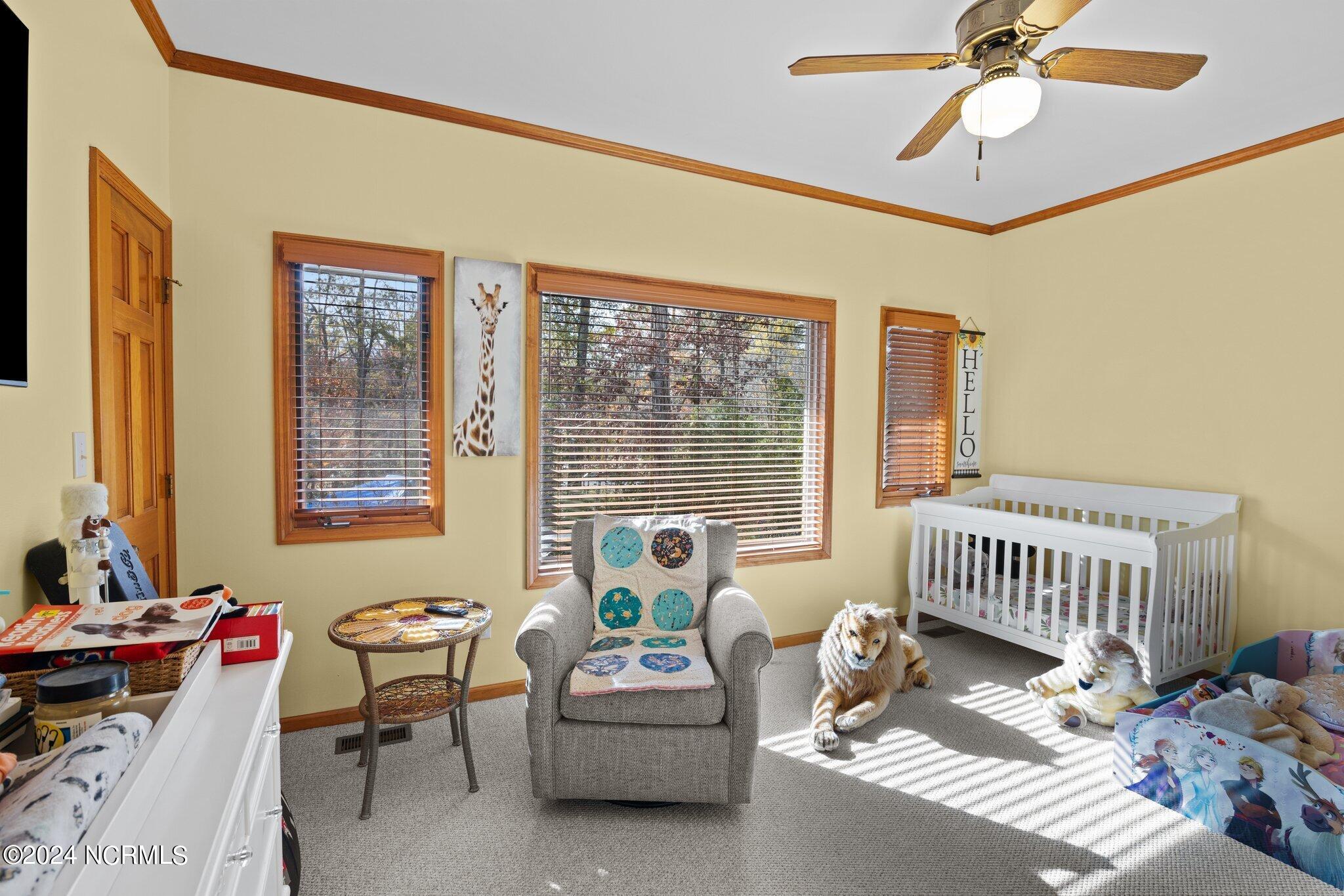 508 Audubon Oriental, NC 28571 - Photo 38 of 61 second level bedroom 2