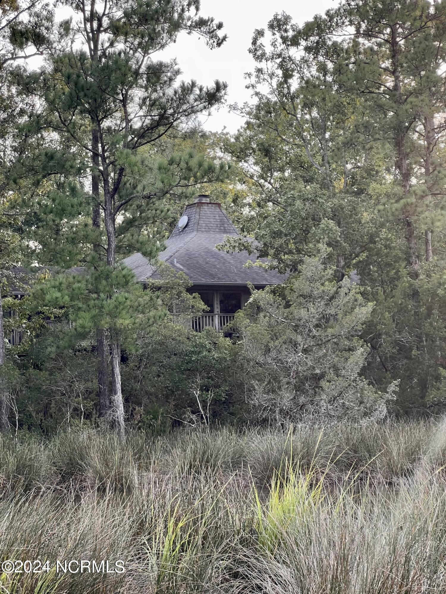 508 Audubon Oriental, NC 28571 - Photo 4 of 61 Audubon