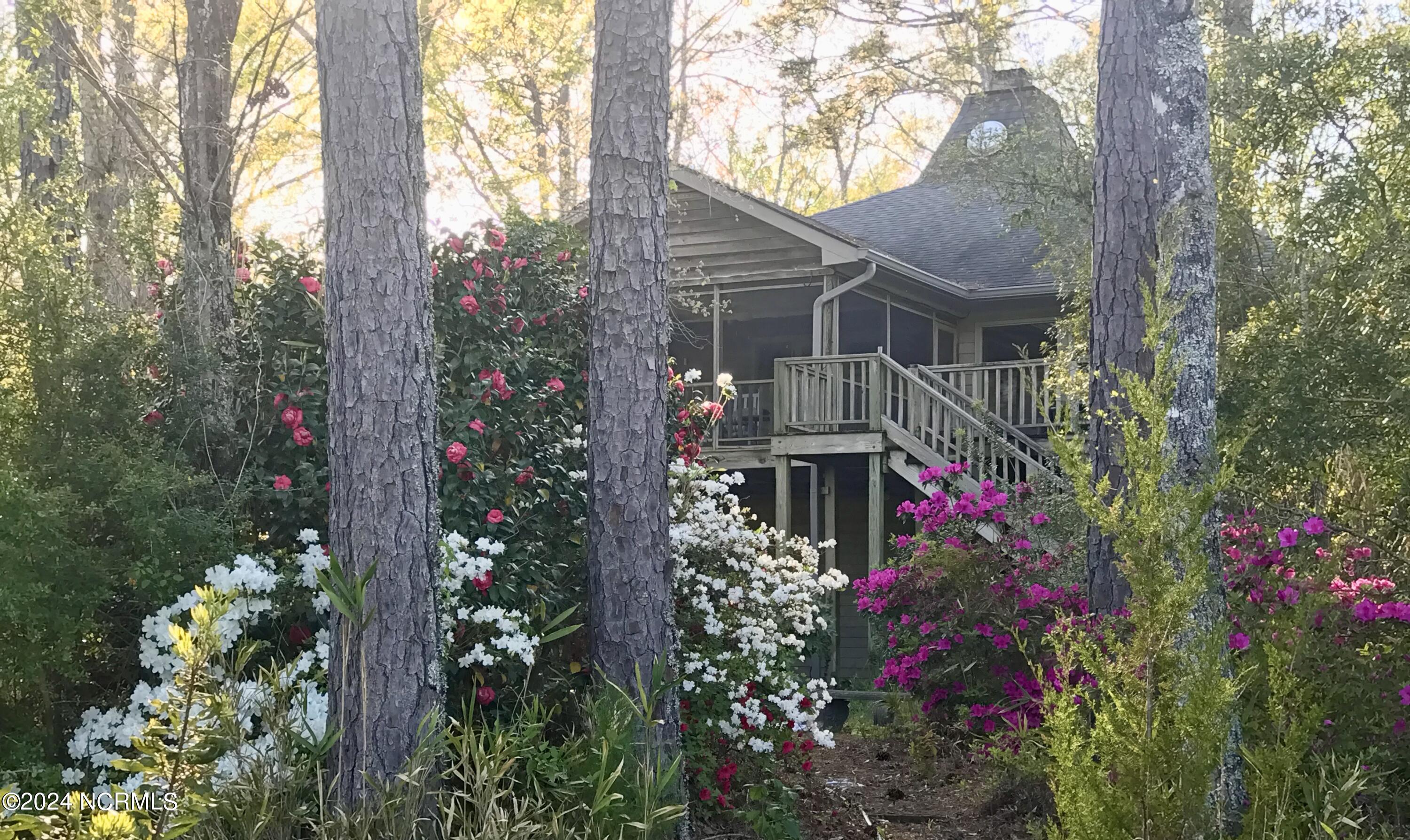 508 Audubon Oriental, NC 28571 - Photo 6 of 61 landscaping