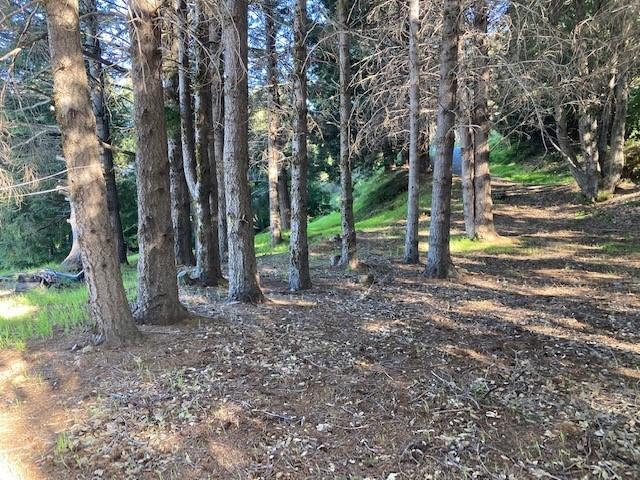 10 Gale Point Whitethorn, CA 95589 - Photo 9 of 20 building site