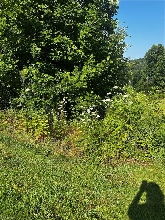 Tbd West Hi Acres Drive Purlear, NC 28665 - Photo 2 of 4