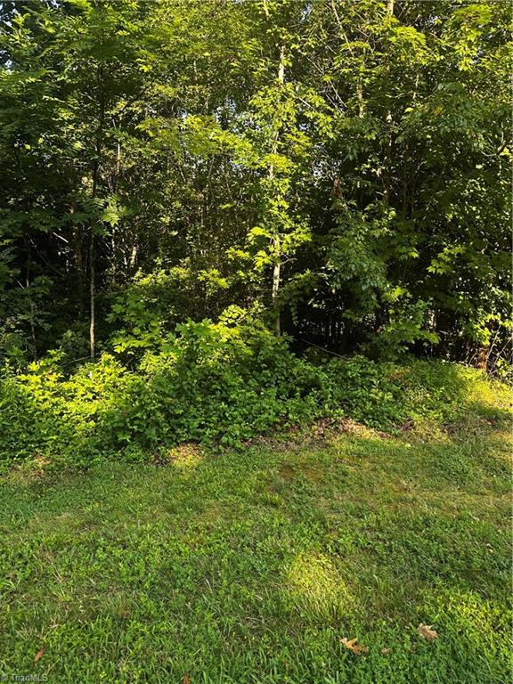 Tbd West Hi Acres Drive Purlear, NC 28665 - Photo 3 of 4