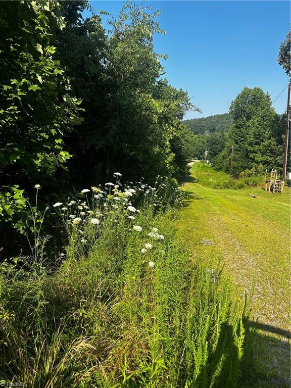 Tbd West Hi Acres Drive Purlear, NC 28665 - Photo 4 of 4