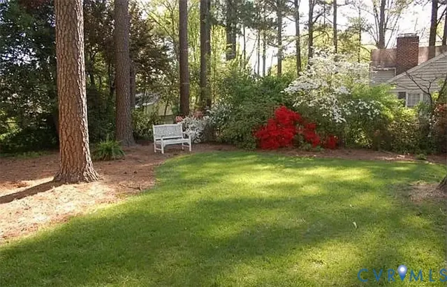 a view of a garden with large trees