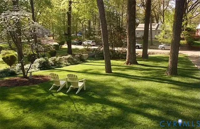 a view of a park with large trees