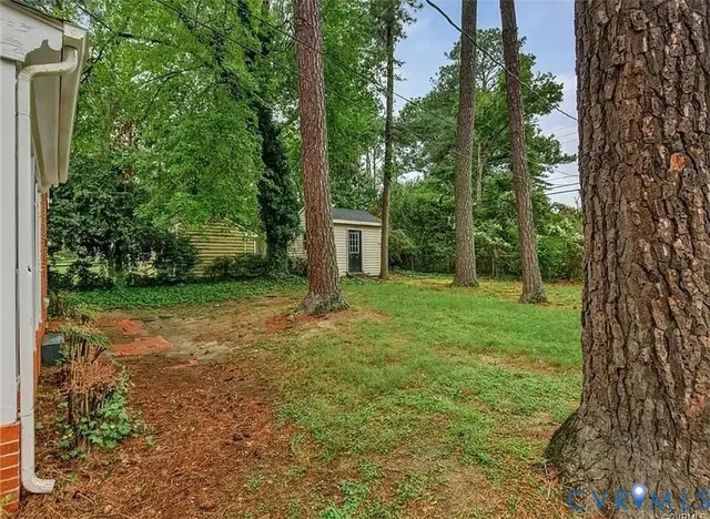 a view of a backyard with a trees