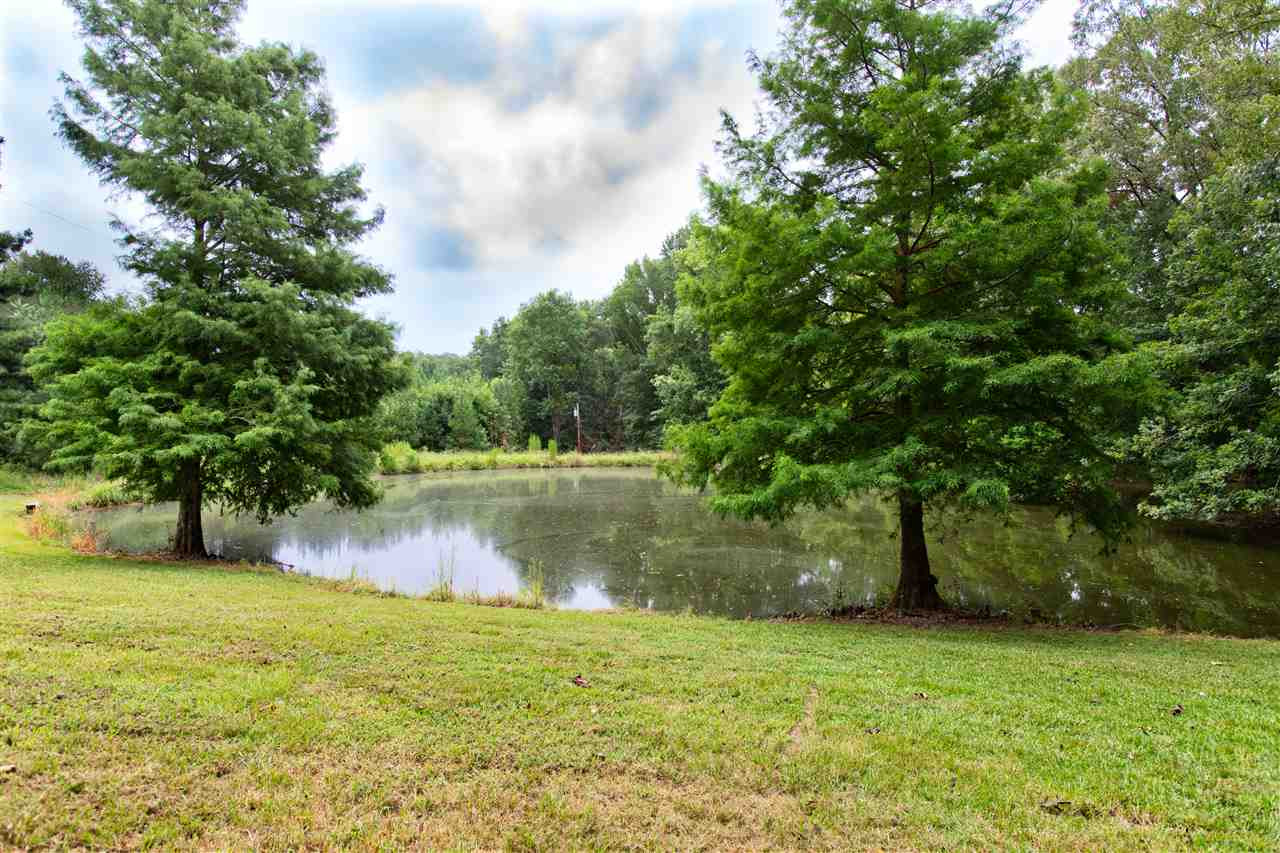 411 Purvis Road Flora, MS 39071 - Photo 3 of 33 Photo 3