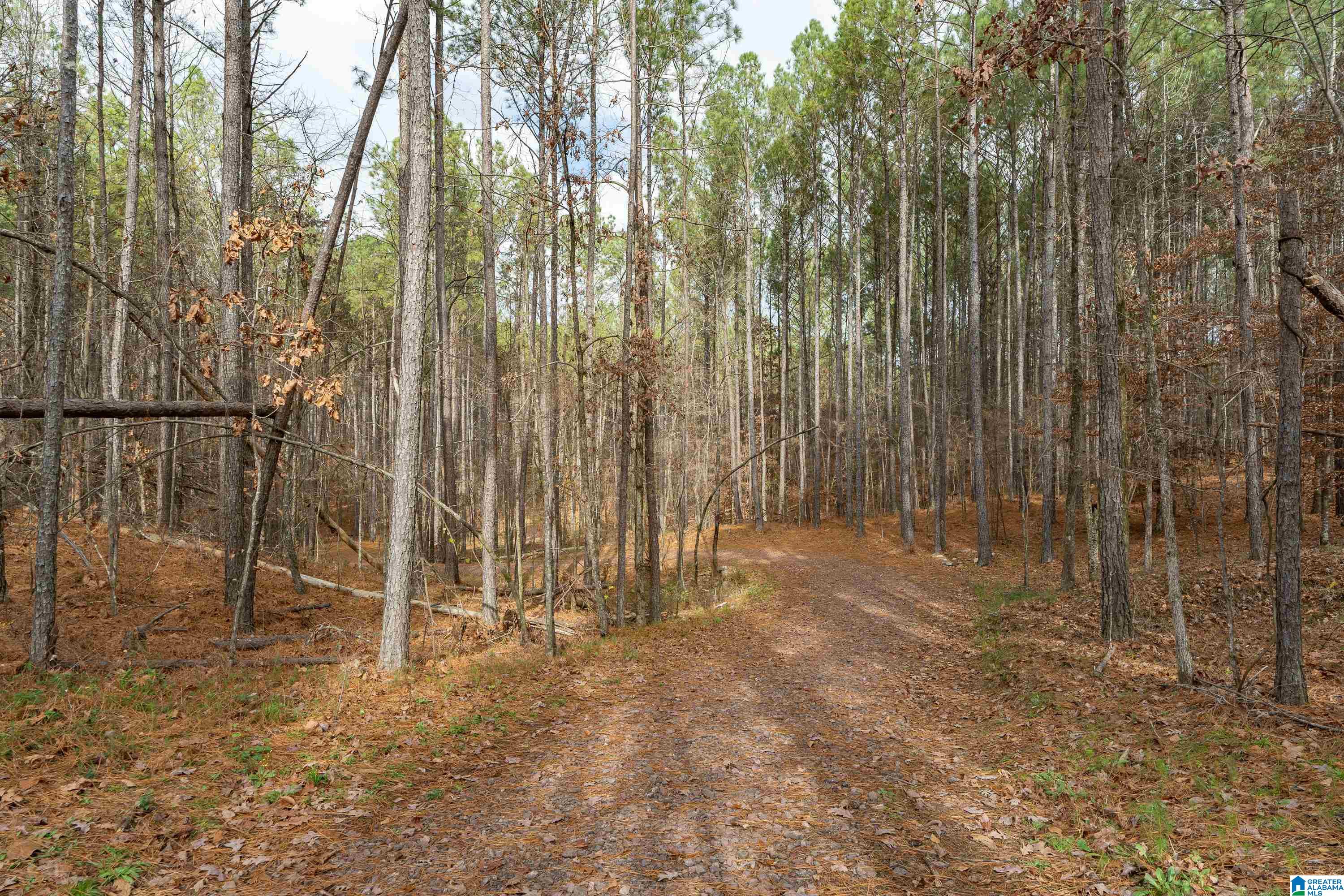 120 White Cottage Road Helena, AL 35080 - Photo 41 of 44