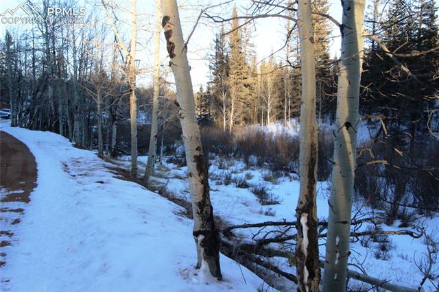 5523 N Road Divide, CO 80814 - Photo 9 of 16 Gallery Image 9