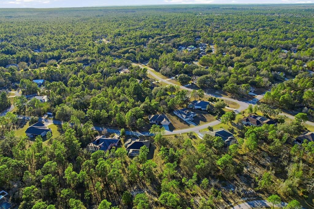 6 Carnation Court Homosassa, FL 34446 - Photo 45 of 48 an aerial view of residential houses with outdoor space and trees