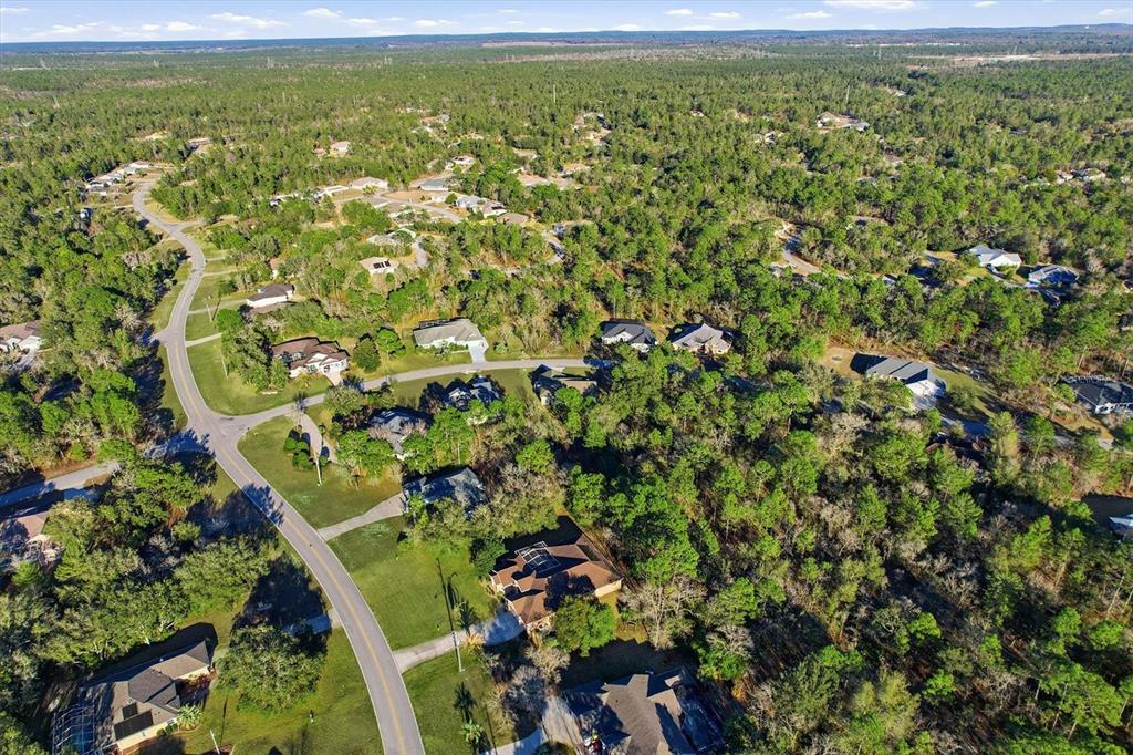 6 Carnation Court Homosassa, FL 34446 - Photo 46 of 48 a view of a yard with a plant